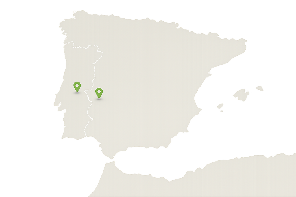 Mapa de atuação Insertex em Portugal e Espanha